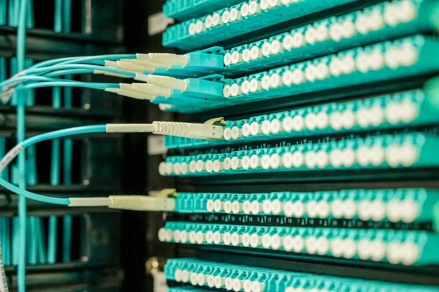Stock photo: bundled patch cables plugged into a dense patch panel