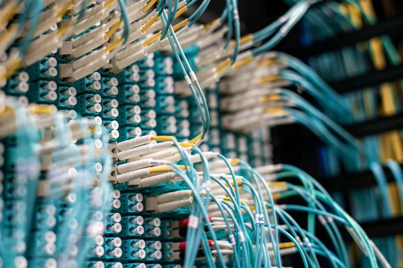 Stock photo: fiber patch cables terminated across a rack panel